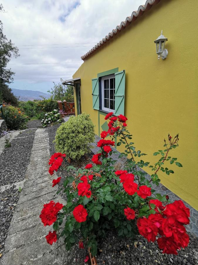 Irana Del Bosque Apartment Brena Baja Exterior photo