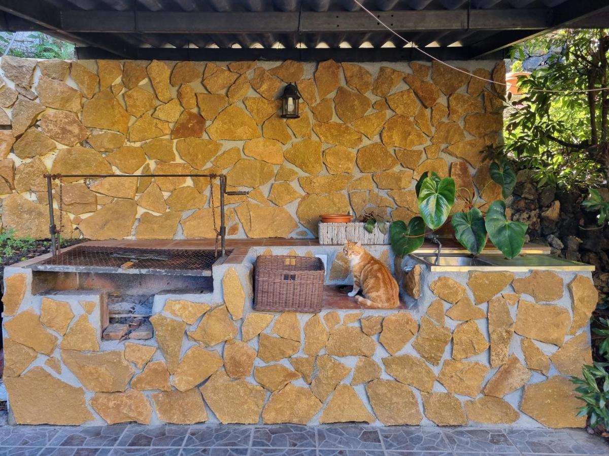 Irana Del Bosque Apartment Brena Baja Exterior photo